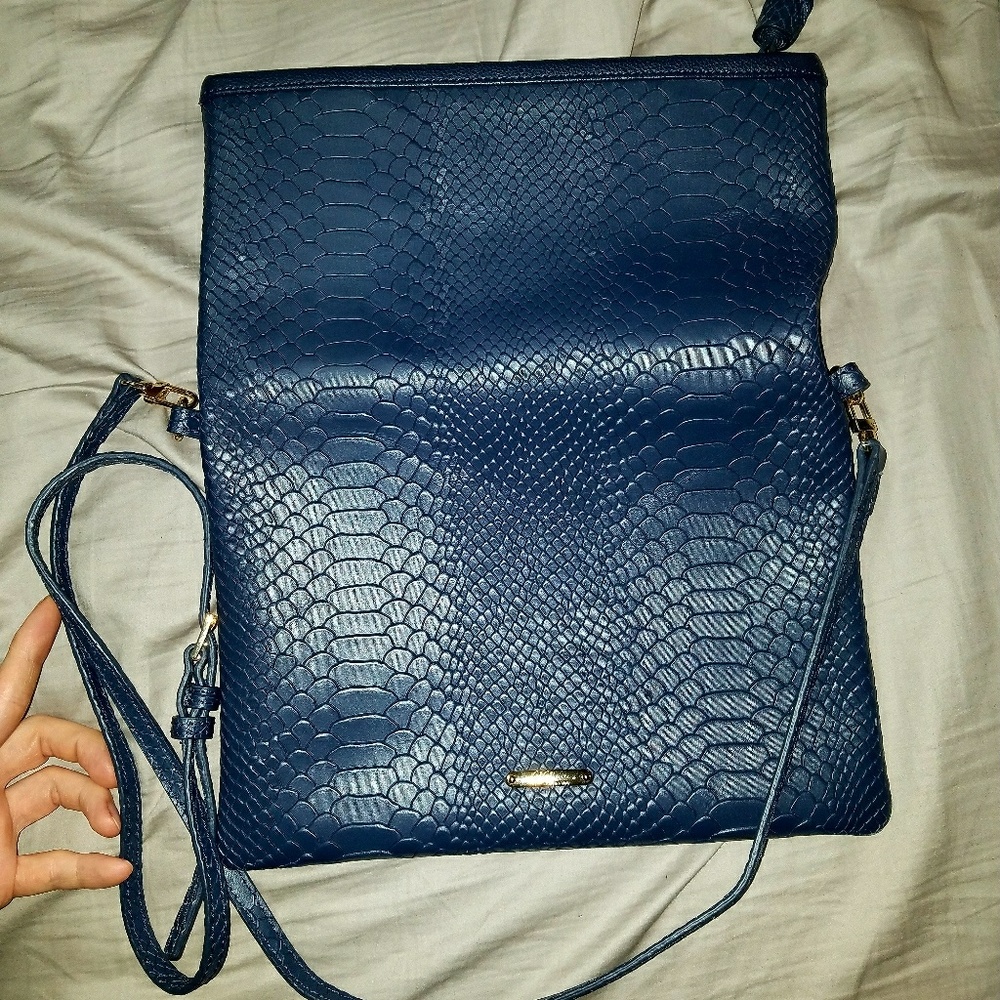 Gigi Newyork Blue python clutch/satchel